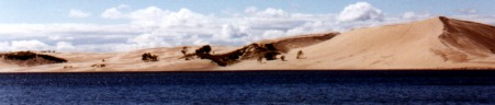 dune.jpg (14373 bytes)