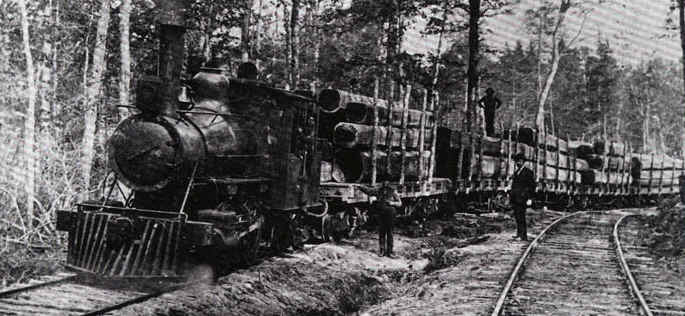 1890'S HUGE STEAM TRACTOR WAGON TRAIN LOGGING PHOTO