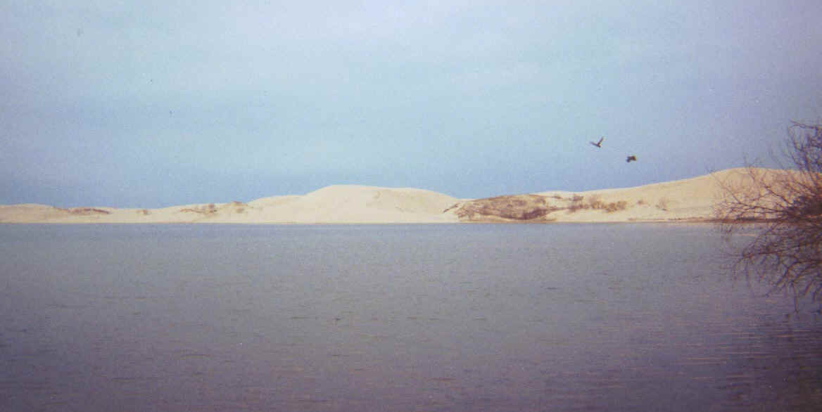 silver-lake-dunes.jpeg (70595 bytes)