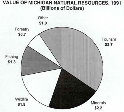 value of michigan's natural resources 1991.JPG (33740 bytes)